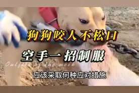狗咬人不松口怎么办空手一招制服视频封面