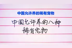 中国允许养的8种稀有宠物，你喜欢哪种？视频封面