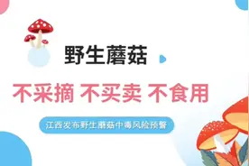 天气温润潮湿 江西发布野生蘑菇中毒风险预警！视频封面