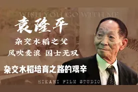 袁隆平培育杂交水稻有多难？连续做4年没结果的事，注定了不平凡视频封面