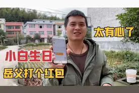 小白生日，小希买个6斤大猪脚，一大早收到岳父发的红包太有心了