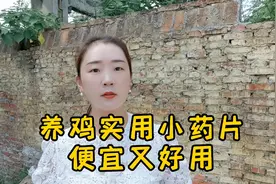 不管养什么鸡，这几种小药片，便宜又好用，帮你解决大问题！视频封面