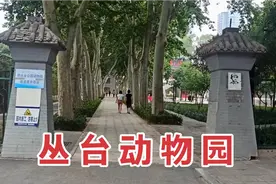 邯郸丛台公园里的动物，搬到永年佛山动物园后，看看改造成了啥？视频封面