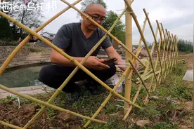 移居后的生活每天忙碌充实，强迫症的花园和菜园一定少不了仪式感视频封面