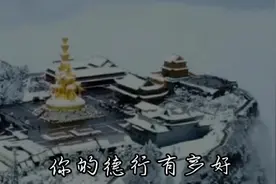 每个人都有一个守护神，看看你的守护神是谁？