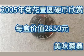 2005年菊花壹圆硬币欣赏视频封面