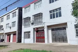 回湖北乡下探望90岁奶奶，随处可见3层小楼，让远嫁姑娘羡慕不已视频封面