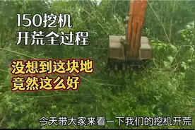 农村耕地竟荒废成这样，多少年无人种植了，请个挖机开荒全过程视频封面