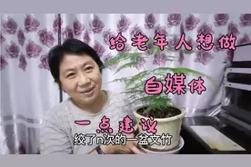 闲来看看养了20年文竹什么样？给老年人想做自媒体的一点建议视频封面
