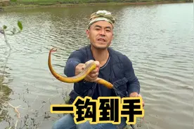 拐哥教大家制作钓鳝钩，分享钓鳝经验，开张就是大斤货！视频封面