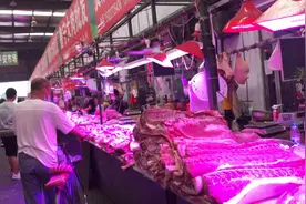 到天津猪肉批发市场卖肉，五花肉12元，，猪棒骨9元，卖肉的真多视频封面
