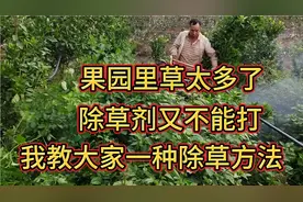这两年总结出来的经验，快速除草方法，希望能帮到大家。