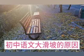 初中语文大滑坡的原因，就是小学阶段多度强化阅读写作的重要性。