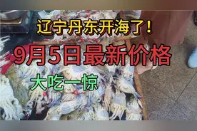 辽宁丹东开海了！海鲜价格太吓人，看9月5日卖多少钱一斤？视频封面
