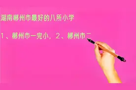 湖南郴州市最好的八所小学排名视频封面