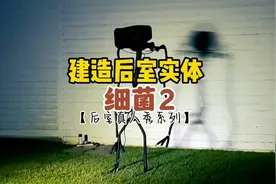 怎么样制造一个后室实体？这里带给你答案