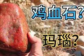 男子冒险深入峡谷，意外发现鲜艳红色的石头，鸡血石还是玛瑙？
