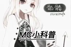 我的世界小白的介绍