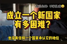 南极只有企鹅能建国，西兰公国纯属过家家，成立一个国家有多难？