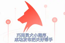 巧用灵犬小程序，成功发布把关好帮手