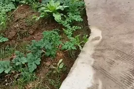 江西省赣州市兴国县