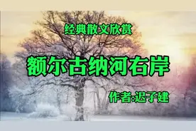 《额尔古纳河右岸》，作者，迟子建视频封面
