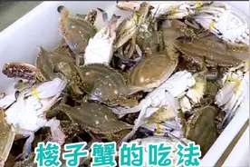 青岛梭子蟹正肥美，有几个不能吃的地方你知道吗？视频封面