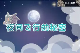 四年级上册语文。《夜间飞行的秘密》