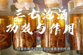 滇映象•泡酒有成效｜三七泡酒的功效与作用