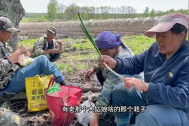 大龙一家又来参地干农活，午饭吃着煎饼卷大葱，人多感觉吃饭都香视频封面