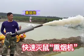 小伙用“熏烟炮”教你快速灭鼠，对着老鼠洞口，一炮下去就抓三只视频封面