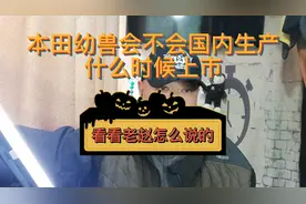 本田幼兽是否国内生产何时上市