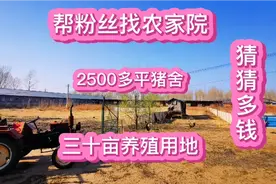 带大家看沈阳周边养殖用地，30亩可以随意翻盖房子！大家猜多钱？