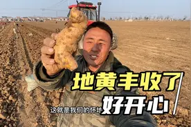 今年的地黄价格有点猛呀，50块左右一公斤，俗称千年等一回视频封面