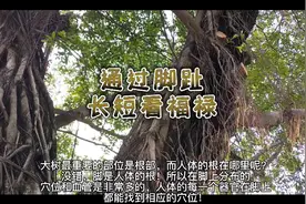 通过脚趾长短看福禄
