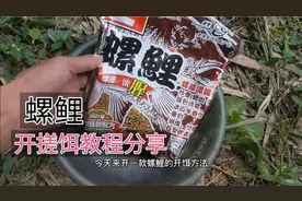 螺鲤开饵教程：螺鲤2号这样开搓饵，饵料附钩性最好，一学就会！