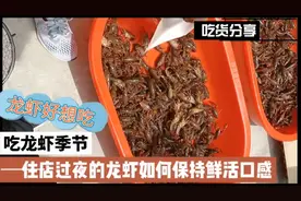 龙虾需要过夜第二天做 想要依旧话蹦乱跳生龙活虎不妨这样做试试