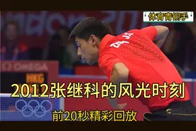 2012年张继科登上世界第一宝座，最风光的一年视频封面