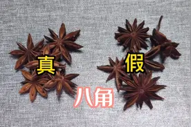 买八角，认清“钩角”和“直角”避免买到假八角，假的八角有毒视频封面