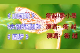 衡越的三首经典歌曲合集，个个精采，东北韵味十足，不容错过