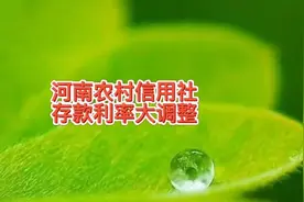 河南农村信用社存款利率大调整，有的利息高有的低了，你会来存吗视频封面