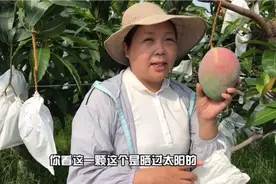 走进芒果第一村，攀枝花的第一棵芒果在这里试种成功，长见识了视频封面
