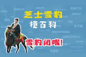 芝士雪豹是什么梗