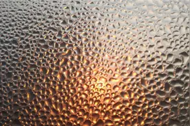 生活，知足才能常乐，无休止的欲望只会将我们推入深渊！视频封面