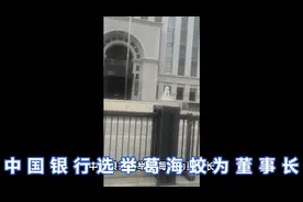中国银行选举葛海蛟为董事长视频封面