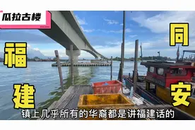 走进马来西亚淳朴渔村，大多华裔来自福建，可用福建话交流（二）视频封面