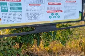 袁隆平故里江西省德安县袁家山视频封面