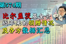 花千芳：比尔盖茨基金会，近年来的捐赠情况，及各方数据汇总视频封面