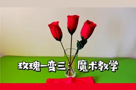 为什么空手可以变出玫瑰花？花藏在哪里？其实方法很简单