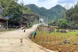 一对老夫妻居住在广西大山的山顶上，水源缺乏，花几万块修建水池视频封面